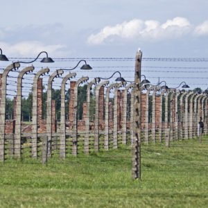Wire fence and stoves in Birkenau concentration camp, Poland